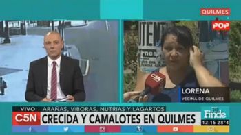 crecio el rio de la plata y aparecieron camalotes en un barrio de quilmes crecio el rio de la plata y aparecieron camalotes en un barrio de quilmes