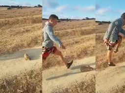 Gritó ¡Cristiano Ronaldo! y pateó un conejo a más de 20 metros Gritó ¡Cristiano Ronaldo! y pateó un conejo a más de 20 metros