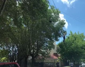 El particular acto del obrero equilibrista en las calles de La Plata