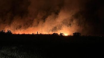 Incendios en Mar del Plata afectan más de 200 hectáreas. Incendios en Mar del Plata afectan más de 200 hectáreas.