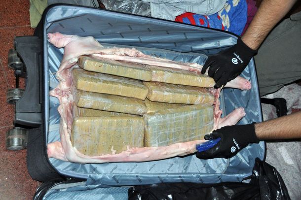 Hallan 14 kilos de marihuana dentro de un cerdo faenado