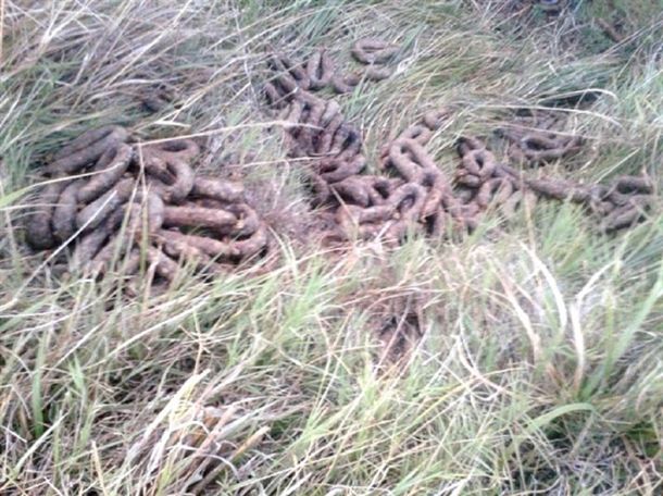 Brote de triquinosis por chorizos secos: hay 145 personas afectadas