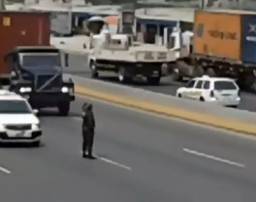 Cruza autopista para rescatar a un cachorro asustado