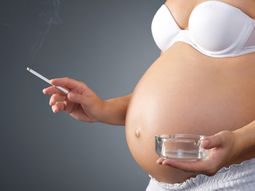 peligros del zika en el embarazo peligros del zika en el embarazo