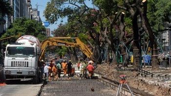 la justicia suspendio la tala de arboles en la avenida 9 de julio la justicia suspendio la tala de arboles en la avenida 9 de julio