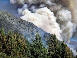 emergencia en chubut: el calor y el viento reactivaron los incendios forestales emergencia en chubut: el calor y el viento reactivaron los incendios forestales