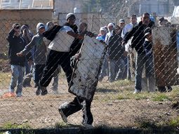 horror en moreno: hallan a tres nenes ahogados en una pileta horror en moreno: hallan a tres nenes ahogados en una pileta