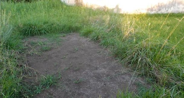 Sin códigos: en el fin de semana más caluroso del año les robaron la pelopincho