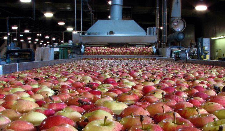 El Gobierno nacional redujo a cero las retenciones a exportaciones agroindustriales de economías regionales