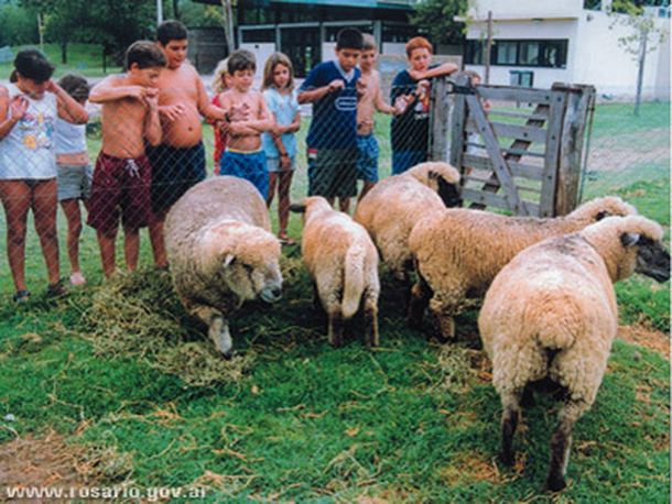 Granja_foto_Rosario