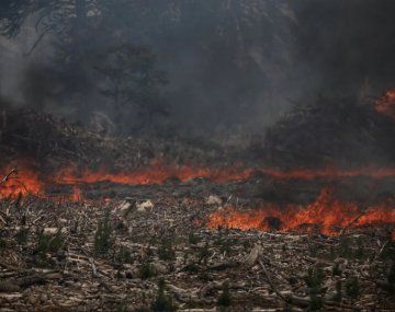 Incendios en Bariloche: malestar con el ministro Cabandié