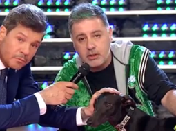 showmatch: fabian doman conmovio con la historia de un galgo quebrado y abandonado showmatch: fabian doman conmovio con la historia de un galgo quebrado y abandonado