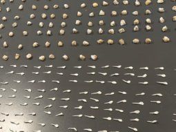 la policia de la ciudad cerro un bunker narco en la villa 31: habia cocaina, marihuana y pasta base la policia de la ciudad cerro un bunker narco en la villa 31: habia cocaina, marihuana y pasta base