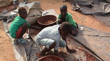 Foto Walk Free Foundation Foto Walk Free Foundation