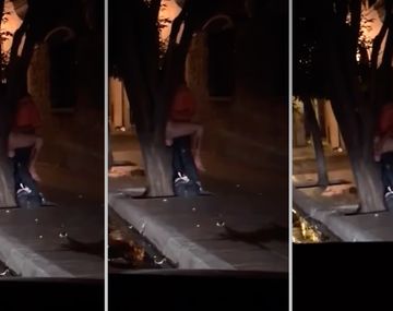 La pareja fue filmada por jóvenes que salían de un boliche