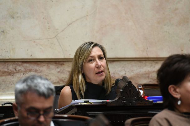 Myriam Bregman rechazó la Ley Hojarasca