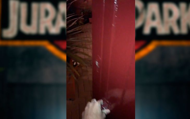 Creer o reventar: la puerta que suena como Jurassic Park es furor en las redes