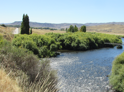 Gentileza ElAndino.ar