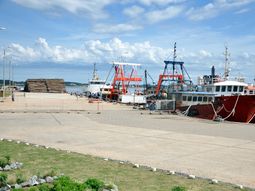 El proyecto busca atraer inversores al Puerto de la Paloma. El proyecto busca atraer inversores al Puerto de la Paloma.