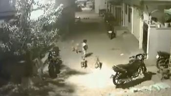 Un nene le hizo frente a una jauría para defender a su amiga Un nene le hizo frente a una jauría para defender a su amiga