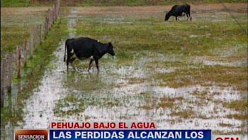 rematan terrenos a una empresa por deuda de $290 mil rematan terrenos a una empresa por deuda de $290 mil