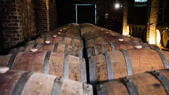 La producción de vinos cayó en Uruguay durante 2023. La producción de vinos cayó en Uruguay durante 2023.