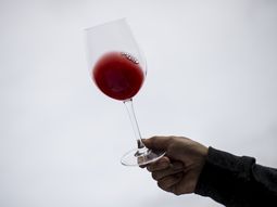 ¿como elegir la copa ideal para cada tipo de vino? ¿como elegir la copa ideal para cada tipo de vino?