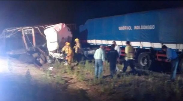 Choque frontal de camiones en Luján dejó vacas muertas en la ruta