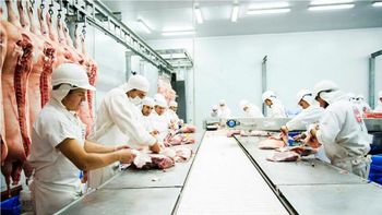 Dos frigoríficos de Uruguay mantienen la actividad detenida hace un año. Dos frigoríficos de Uruguay mantienen la actividad detenida hace un año.