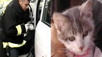 Catalina, la protagonista del episodio en Bahía Blanca Catalina, la protagonista del episodio en Bahía Blanca