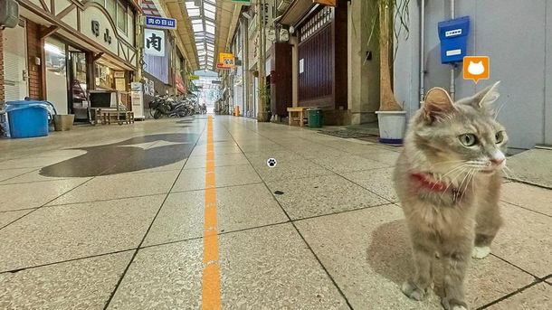 Crean un Street View gatuno en Japón