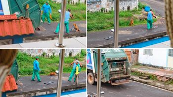 la conmocion de xuxa por el maltrato animal la conmocion de xuxa por el maltrato animal