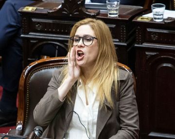 Lemoine se burló de los vuelos de la muerte y exigen que la echen del Congreso