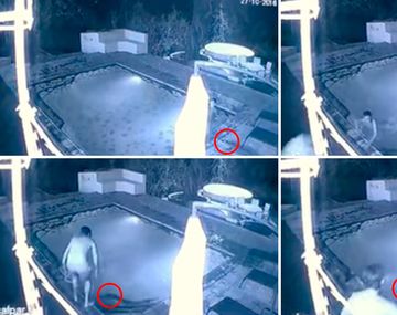 El ataque de un cocodrilo a una pareja en una pileta