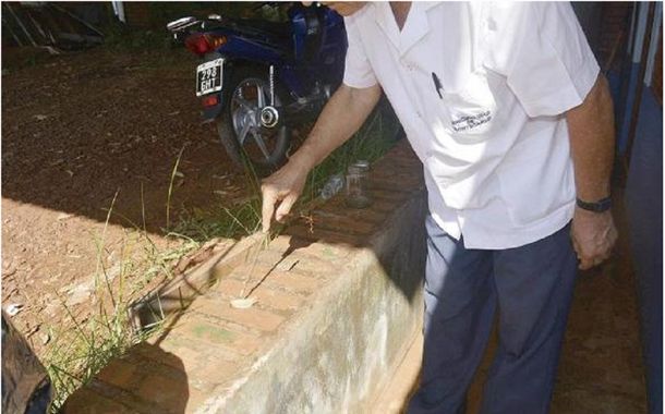 Conmoción: Misiones está en alerta por la aparición de un gusano venenoso