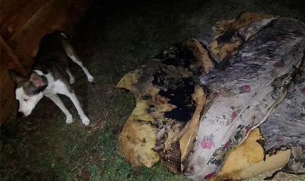 Concordia: una mujer incendió su casa con sus hijos adentro y los niños lograron salvarse de las llamas