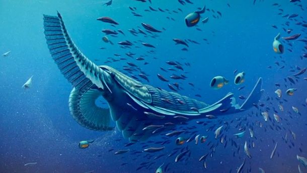 VIDEO: Encuentran restos fósiles de un gigante marino