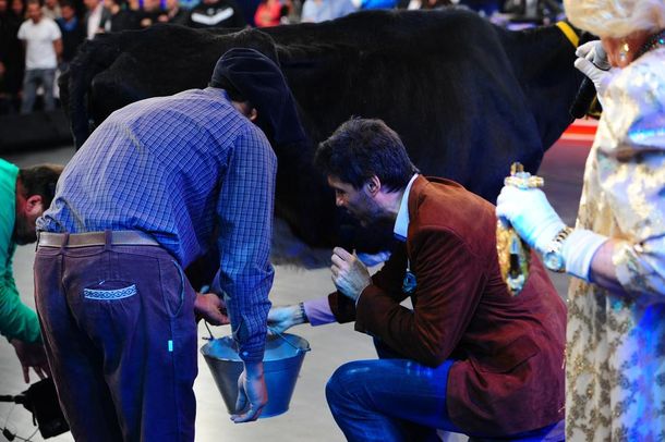 Tinelli ordeñó mal una vaca y no obtuvo leche, sino otra cosa