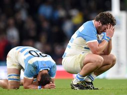 los pumas dejaron todo pero cayeron ante australia y se despidieron del mundial los pumas dejaron todo pero cayeron ante australia y se despidieron del mundial