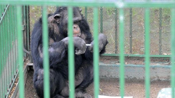 Gentileza La Voz del Interior.