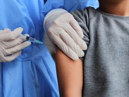 Dengue: la ANMAT aprobó la vacuna para mayores de 4 años