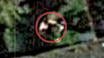 Asegura haber sido secuestrado por un alien Asegura haber sido secuestrado por un alien