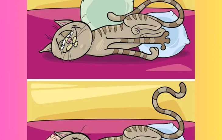 Encontrá las cinco diferencias en 6 segundos