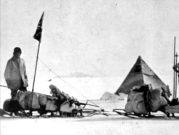 Encontraron el dibujo de un pájaro en la Antártida que tiene más de 100 años