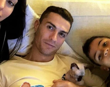Insólito: Cristiano Ronaldo envió a su gato a España en un jet privado tras ser atropellado