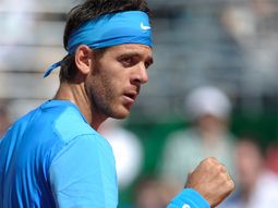 del potro: lo de la copa davis es un tema cerrado del potro: lo de la copa davis es un tema cerrado