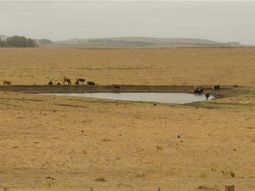 Con la sequía extrema en Uruguay, Montevideo todavía tiene reservas de agua potable para marzo y abril. Con la sequía extrema en Uruguay, Montevideo todavía tiene reservas de agua potable para marzo y abril.