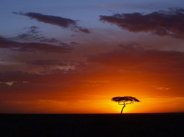 Votá cuál te parece el mejor atardecer del mundo