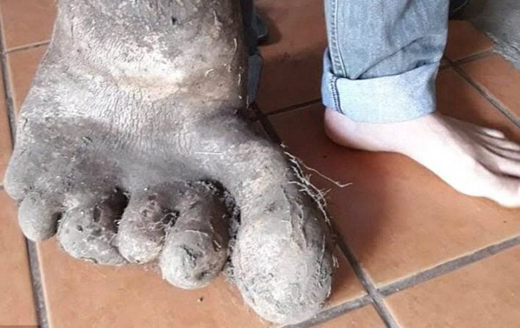 ¿Cómo llegó a verse así la papa de los Ciquinel?