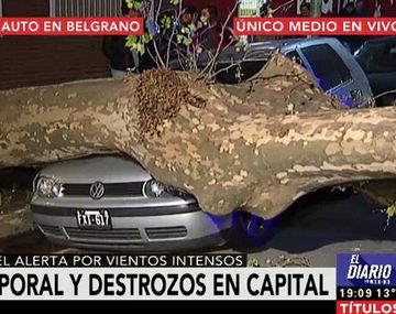 VIDEO: Así terminó un auto por la caída de un árbol en Belgrano